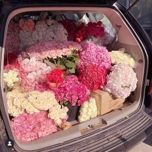 Meet your Posher, Yanilda